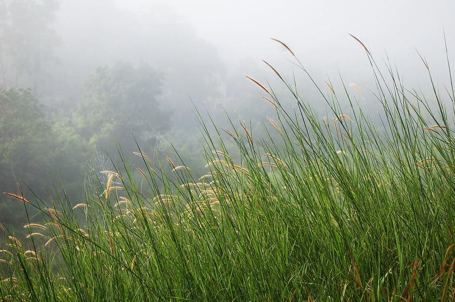Red Z Cool Mountain Khao Kho Exterior foto