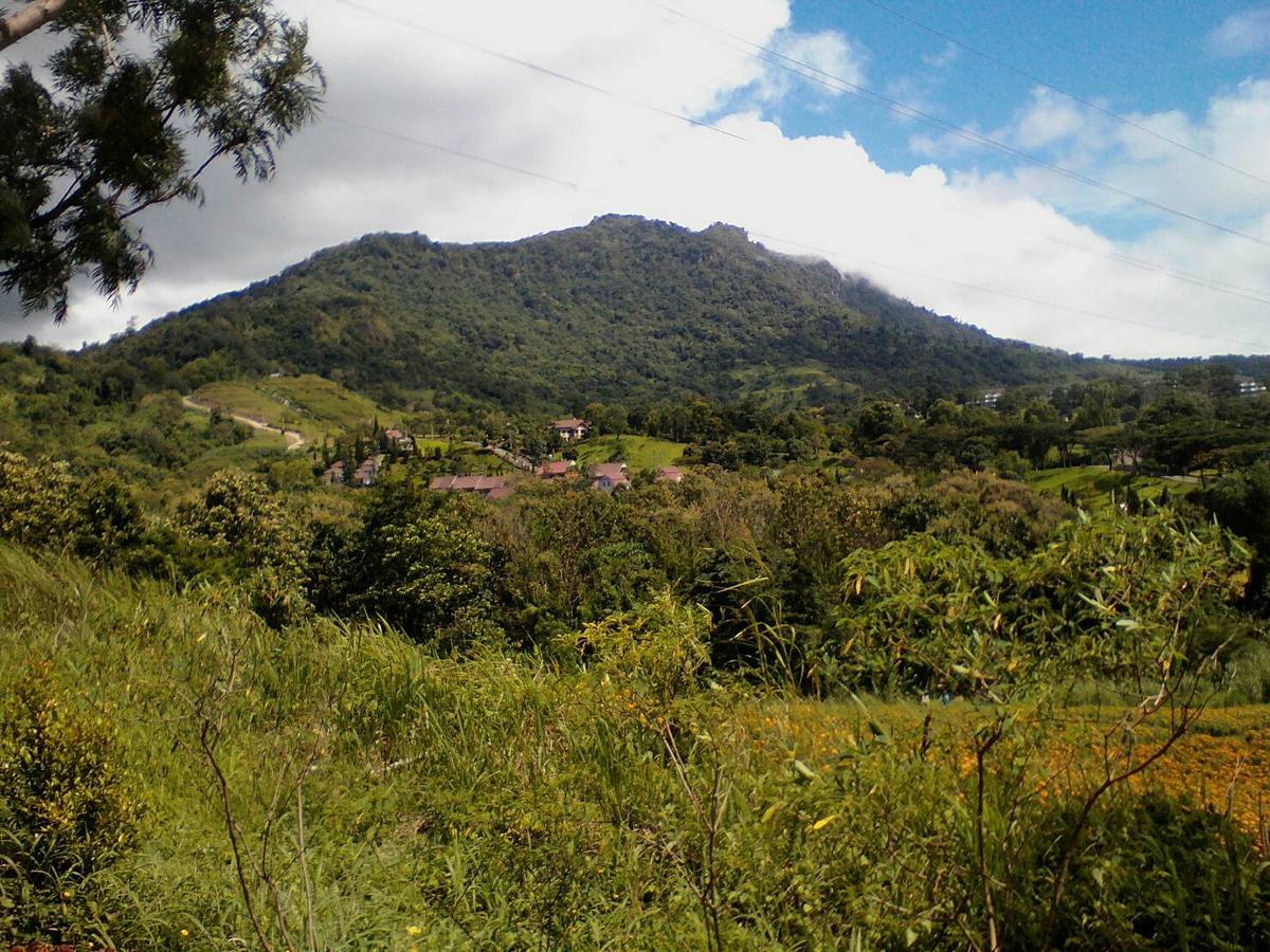 Red Z Cool Mountain Khao Kho Exterior foto