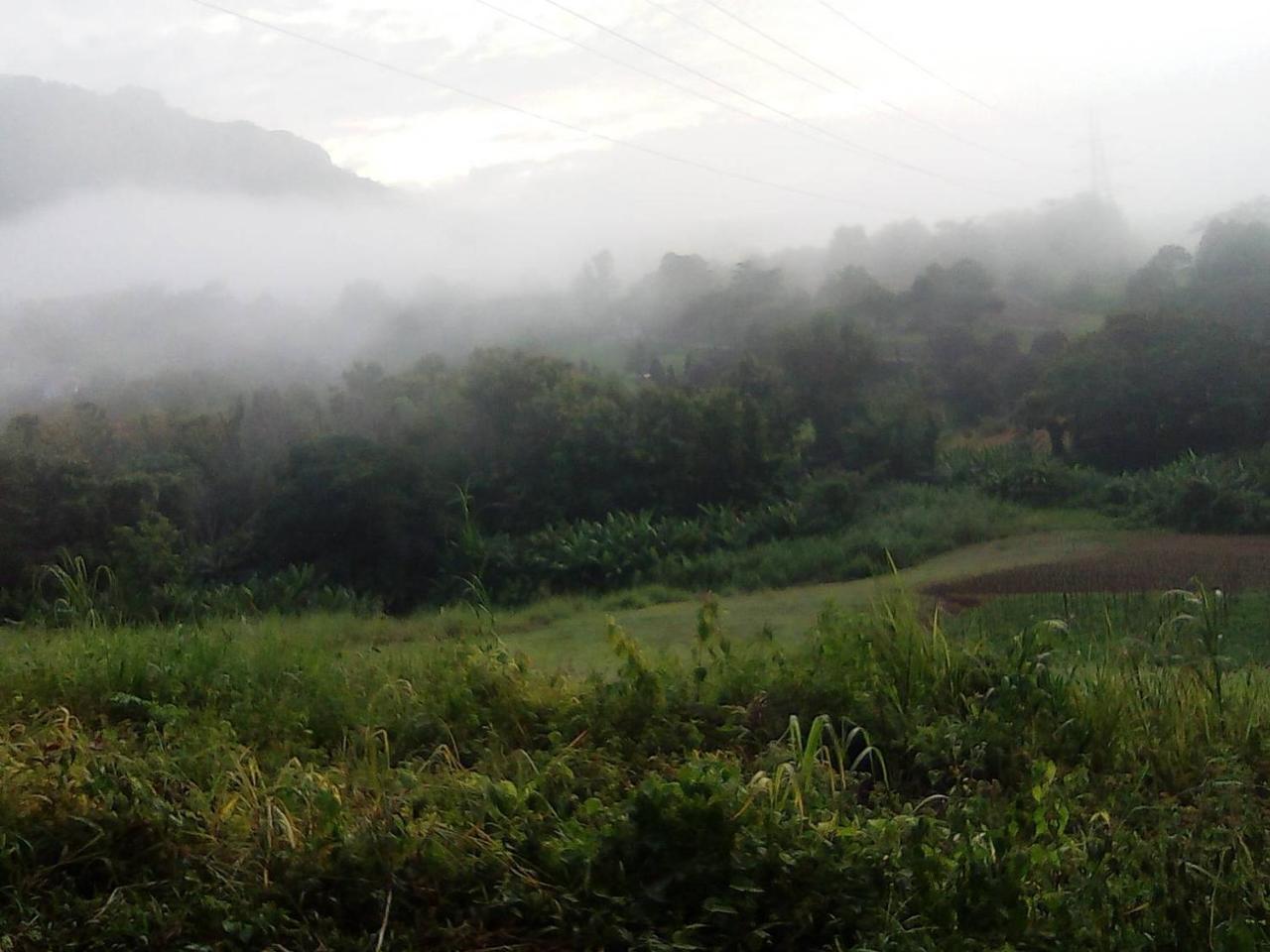 Red Z Cool Mountain Khao Kho Exterior foto